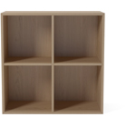 04-007-27 Case 2 x 2 Shelf Module – 28 cm