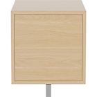 04-007-82 Case 1 x 1 Shelf Module with wooden door and hanger rail – 35 cm