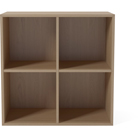 04-007-25 Case 2 x 2 Shelf Module – 35 cm