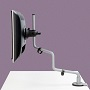 Rodney arm with integral desk clamp
