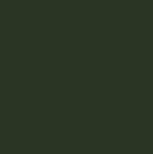 Olive green (RAL6003)