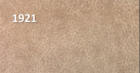 1921