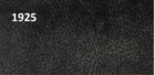 1925