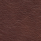 Paloma 09428 maroon