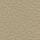 Cori 20 beige