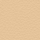 Paloma 20 beige