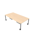 Luma Projecttafel 46h 160x80 _4x LUMAPTLG_4x MMLADE6800 80mm