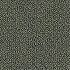 Grain 60303