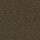 Grain 61146