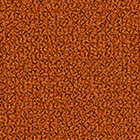 Grain 63117