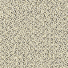 Grain 61229