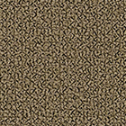 Grain 61230