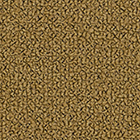 Grain 61037