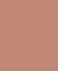 RAL 3012 Beige Red