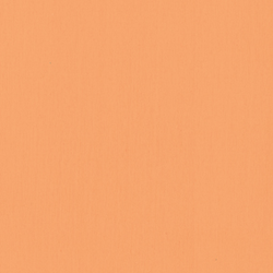 B55/E55 - light orange