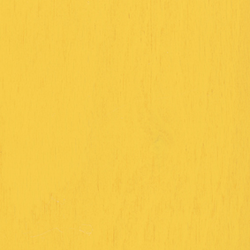 B51/E51 - medium yellow