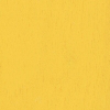 B51/E51 - medium yellow