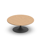Clarion low coffee table Ø100 height 40, Ø60 base