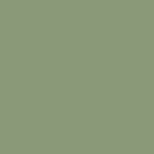 P64 PALE GREEN - RAL 6021 (Fine texture)