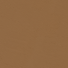 Sydney by SPOOR Light Cognac_Leather