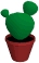 Cactus (Echinopsis)