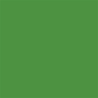 EM_Amfi Synthetic Colour_Spring Green
