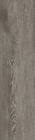 Textured Woodgrains A00405 Grey Dune