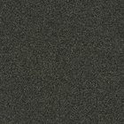 Polichrome Stipple 4265008 Peat