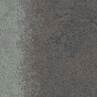 UR101 327113 Granite Lichen