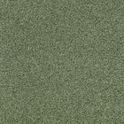 4175078 Touch & Tones II 102 Olive