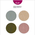 CL4 - BERRY