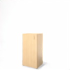 Cabinet_1SB1g_ 117x60x50cm