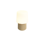 SACKit Ambience Lamp Intelligent + Oslo base Natural Oak Size 5