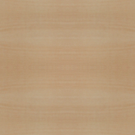 Natural lacquered beech veneer