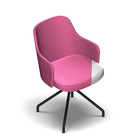 4653 - Alma Chair with armrest with removable seat cover with incontinence sheet