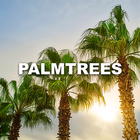 Palmtrees