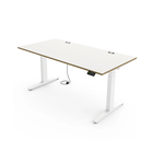 Desk Expert 160x80 Multiplex white White